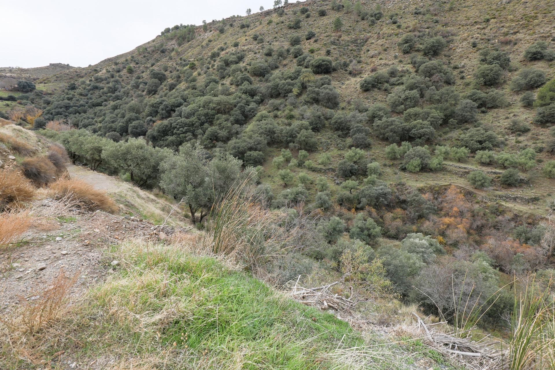 https://fotos15.apinmo.com/5292/27618763/1-1.jpg