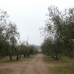 https://fotos15.apinmo.com/5292/29191536/1-6.jpg