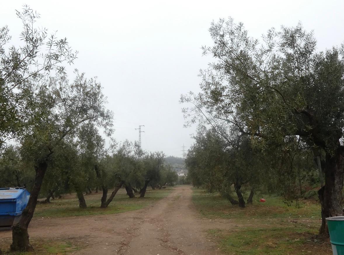 https://fotos15.apinmo.com/5292/29191536/1-6.jpg
