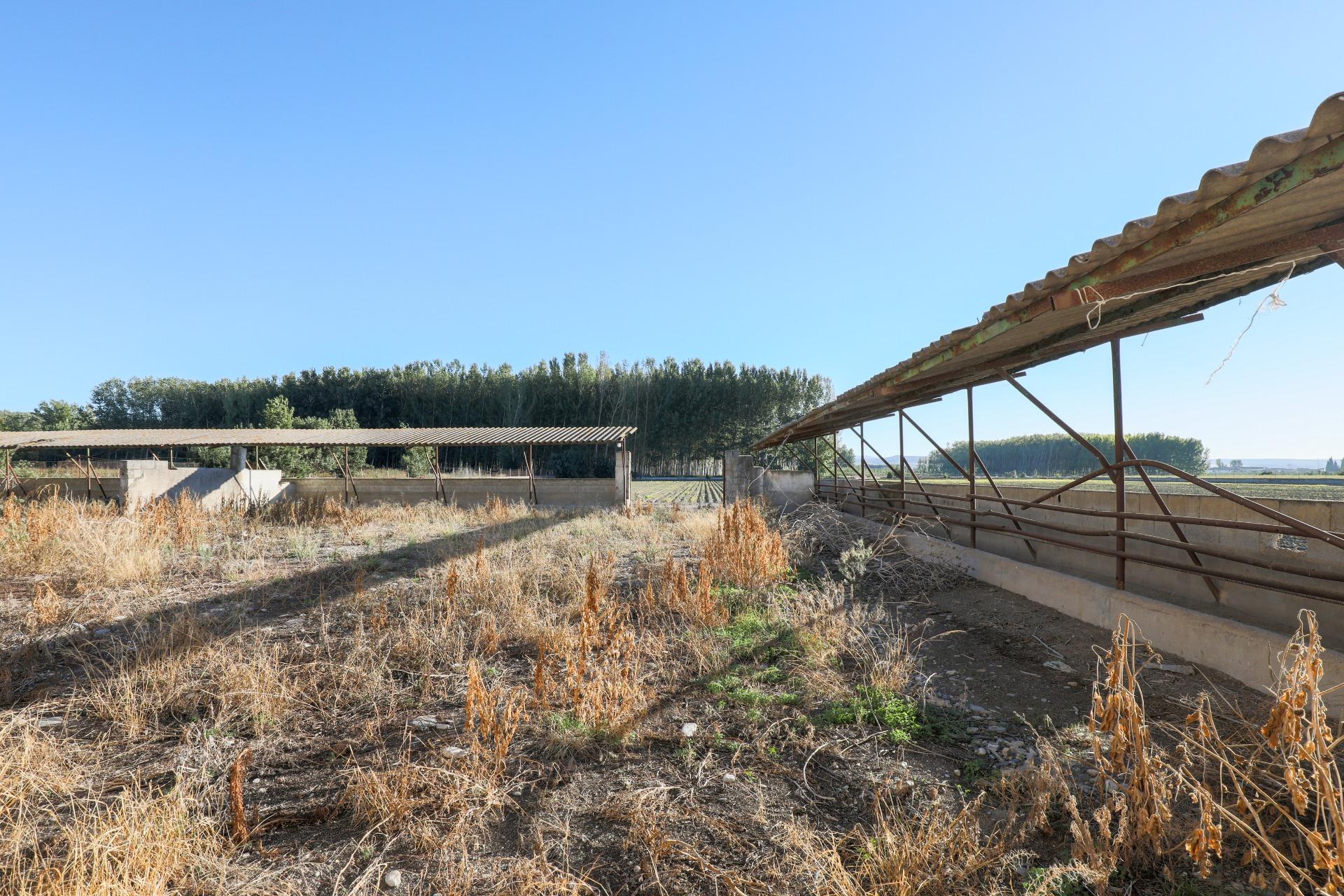 https://fotos15.apinmo.com/5292/27540136/1-7.jpg