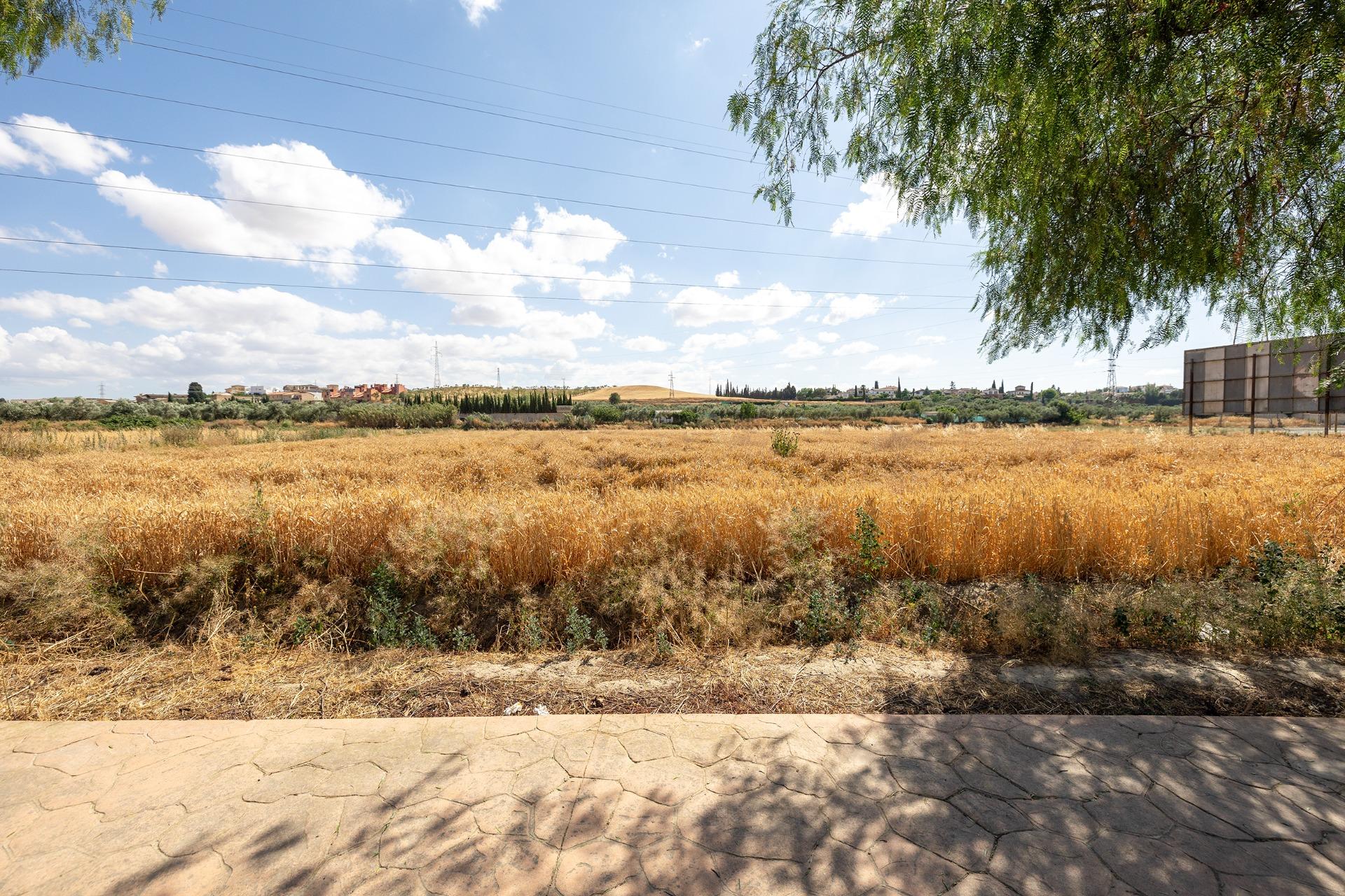 https://fotos15.apinmo.com/5292/29225230/1-7.jpg