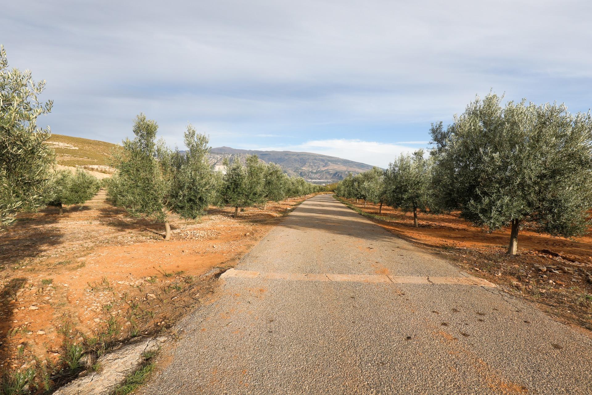 https://fotos15.apinmo.com/5292/27630398/1-7.jpg