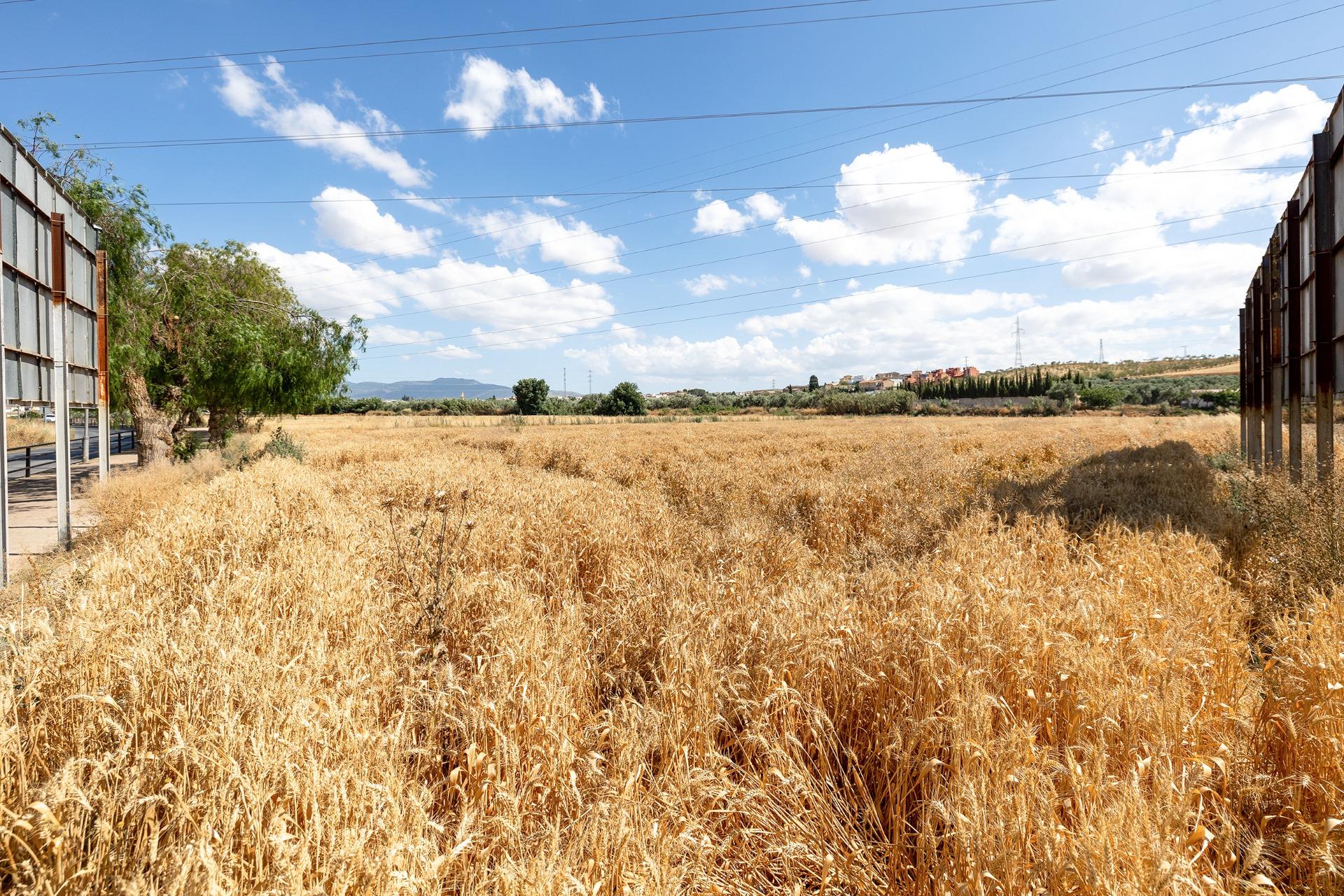 https://fotos15.apinmo.com/5292/29225230/1-8.jpg