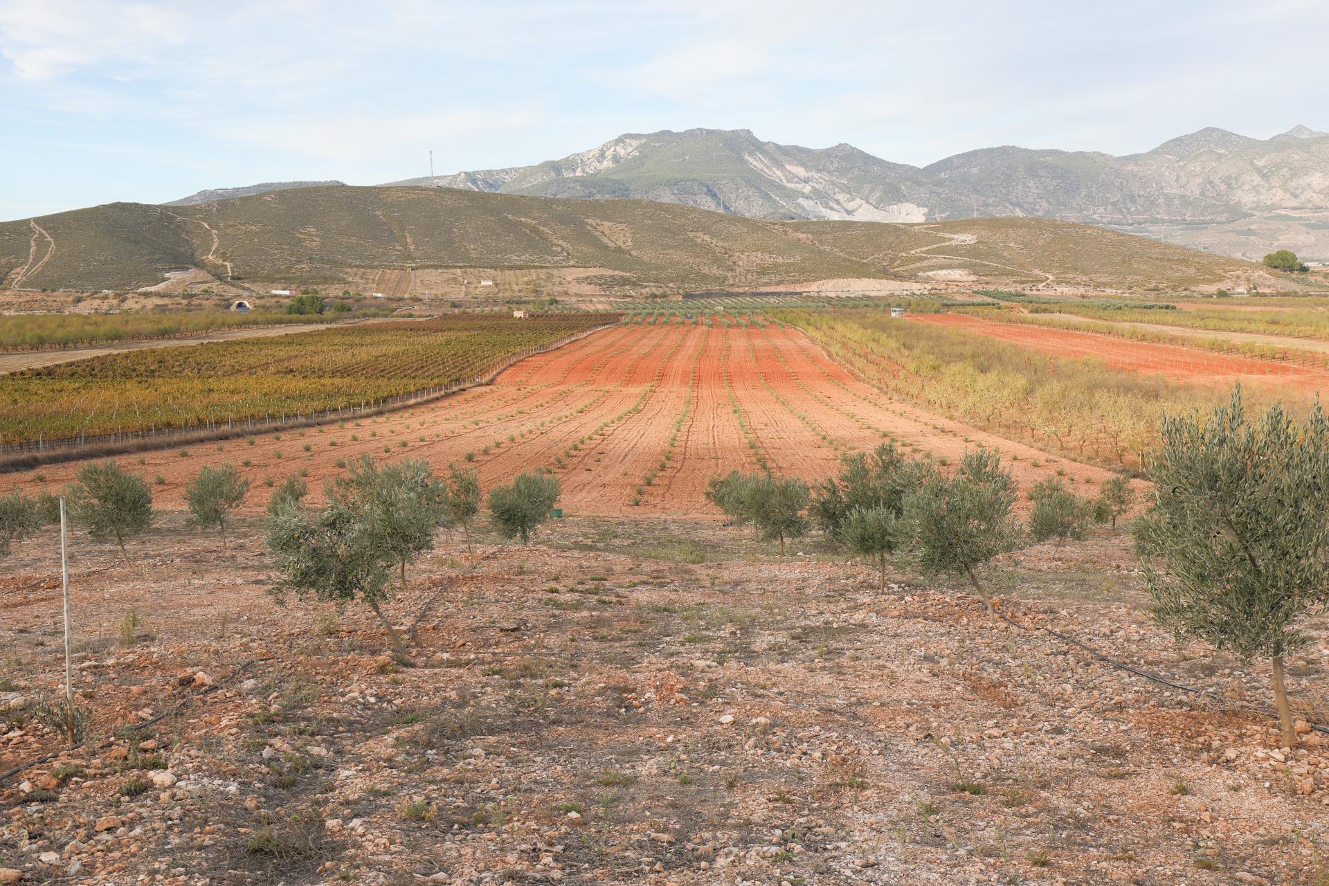 https://fotos15.apinmo.com/5292/27630398/1-8.jpg