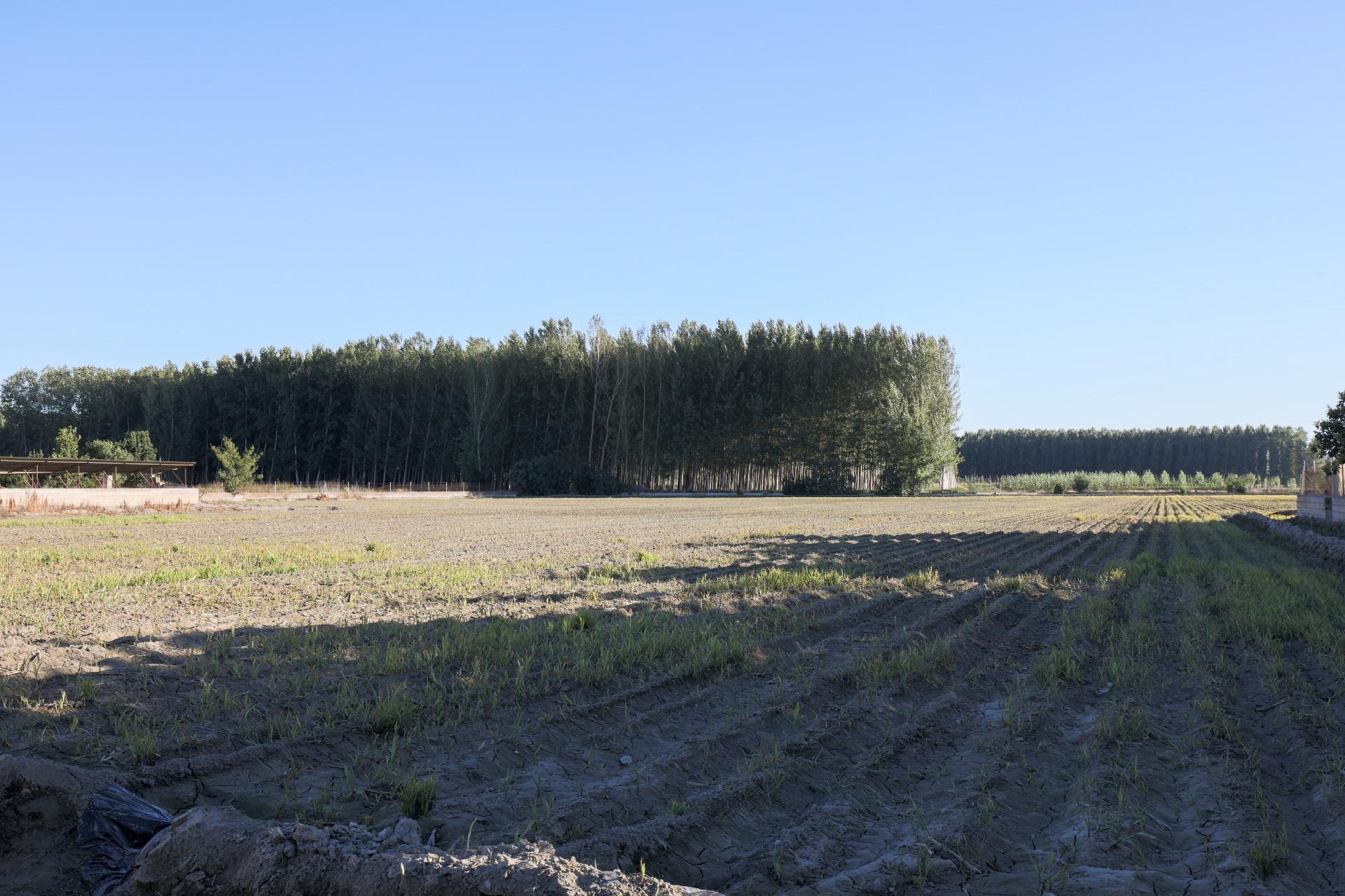 https://fotos15.apinmo.com/5292/27540136/1-2.jpg