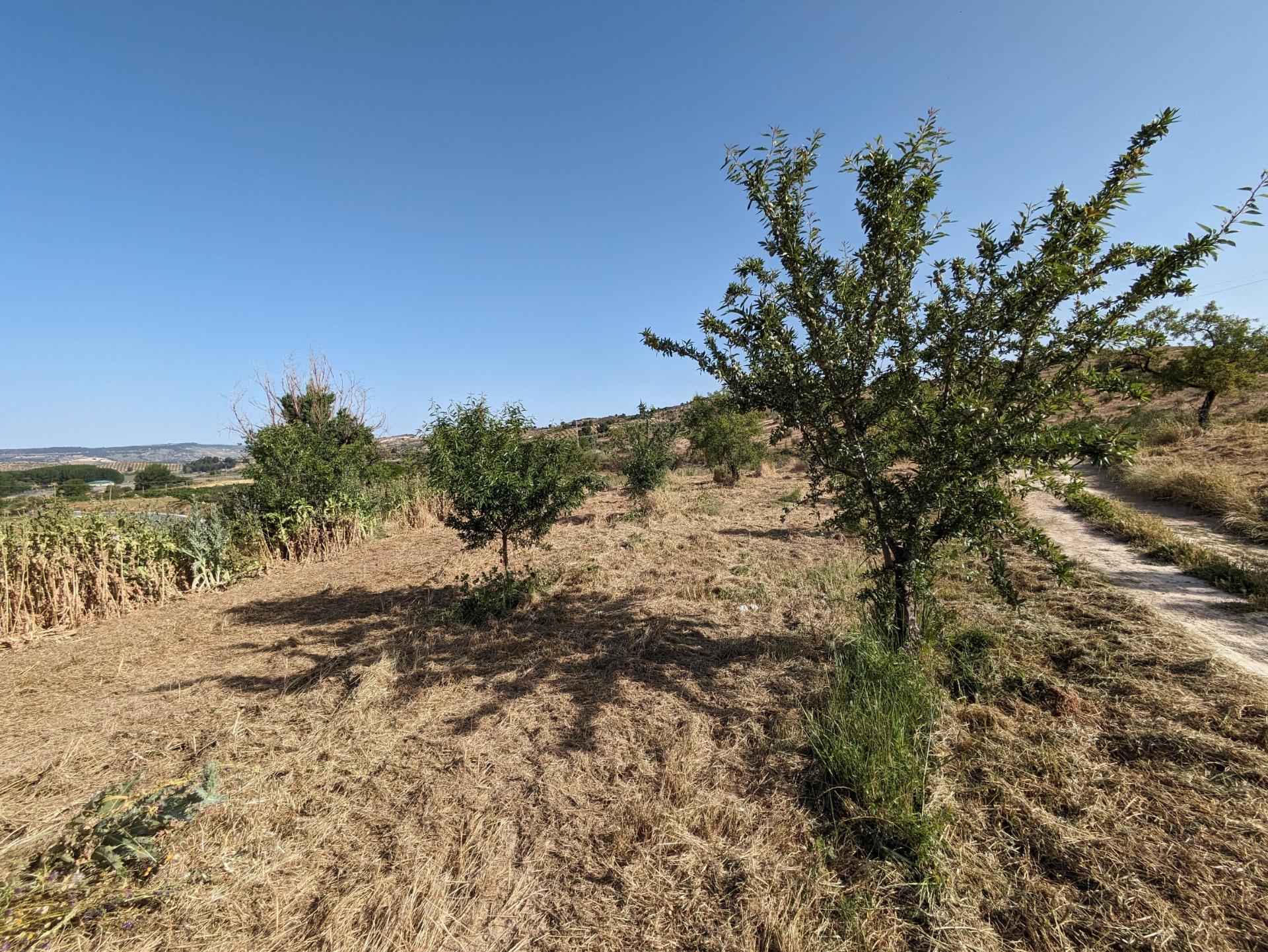 https://fotos15.apinmo.com/5292/29225264/1-2.jpg