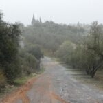 https://fotos15.apinmo.com/5292/29191536/1-3.jpg