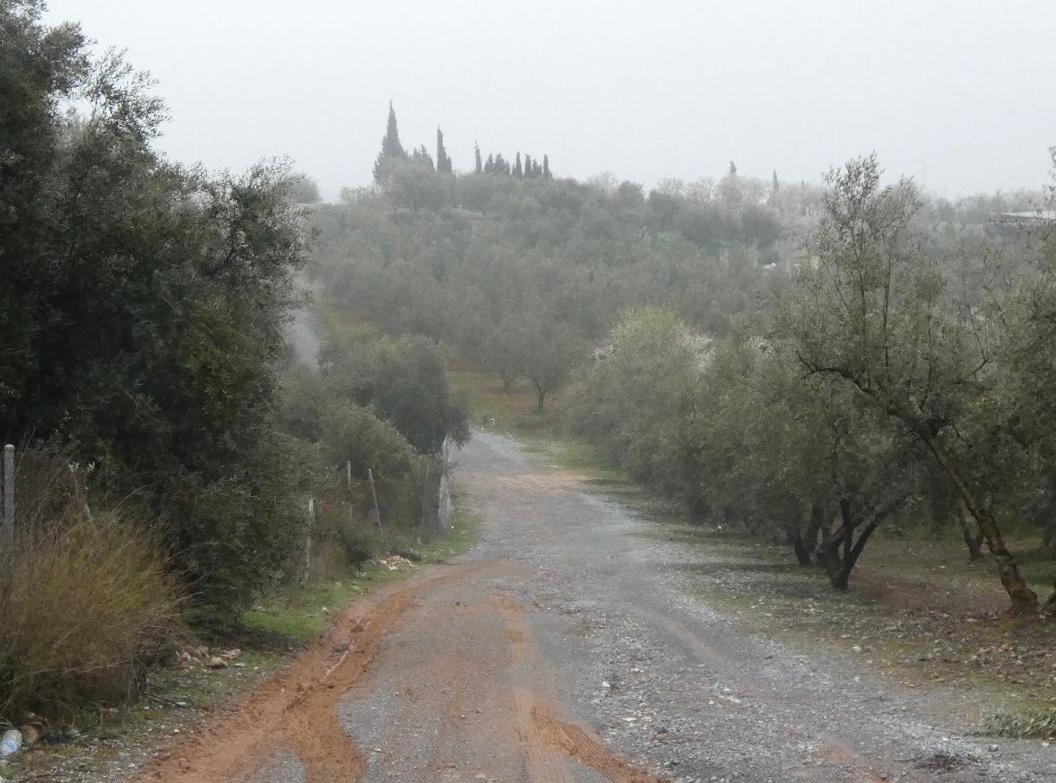 https://fotos15.apinmo.com/5292/29191536/1-3.jpg