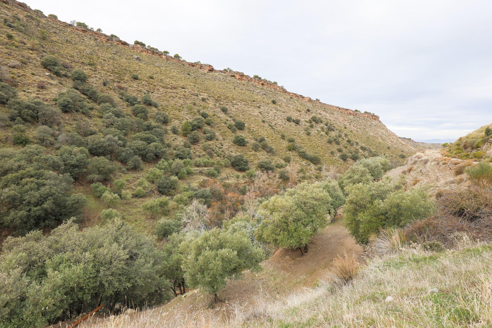 https://fotos15.apinmo.com/5292/27618763/1-3.jpg