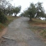https://fotos15.apinmo.com/5292/29191536/1-4.jpg