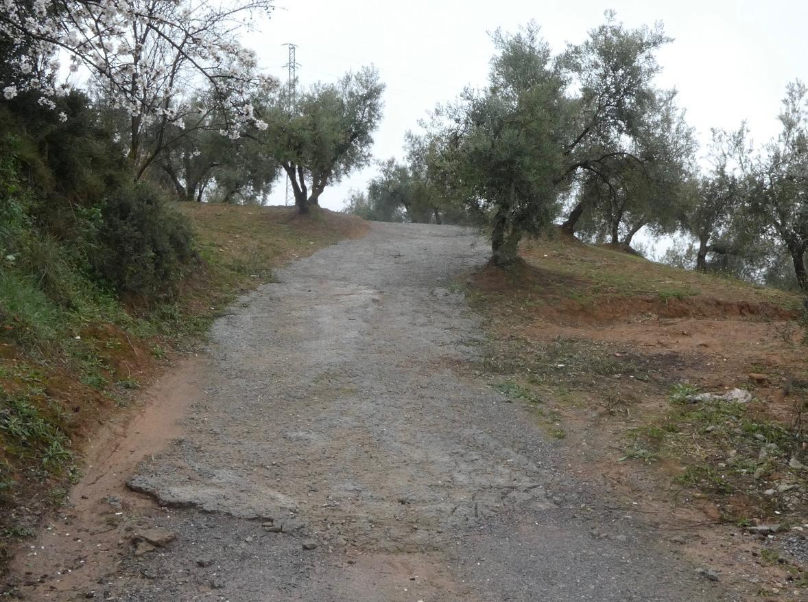 https://fotos15.apinmo.com/5292/29191536/1-4.jpg