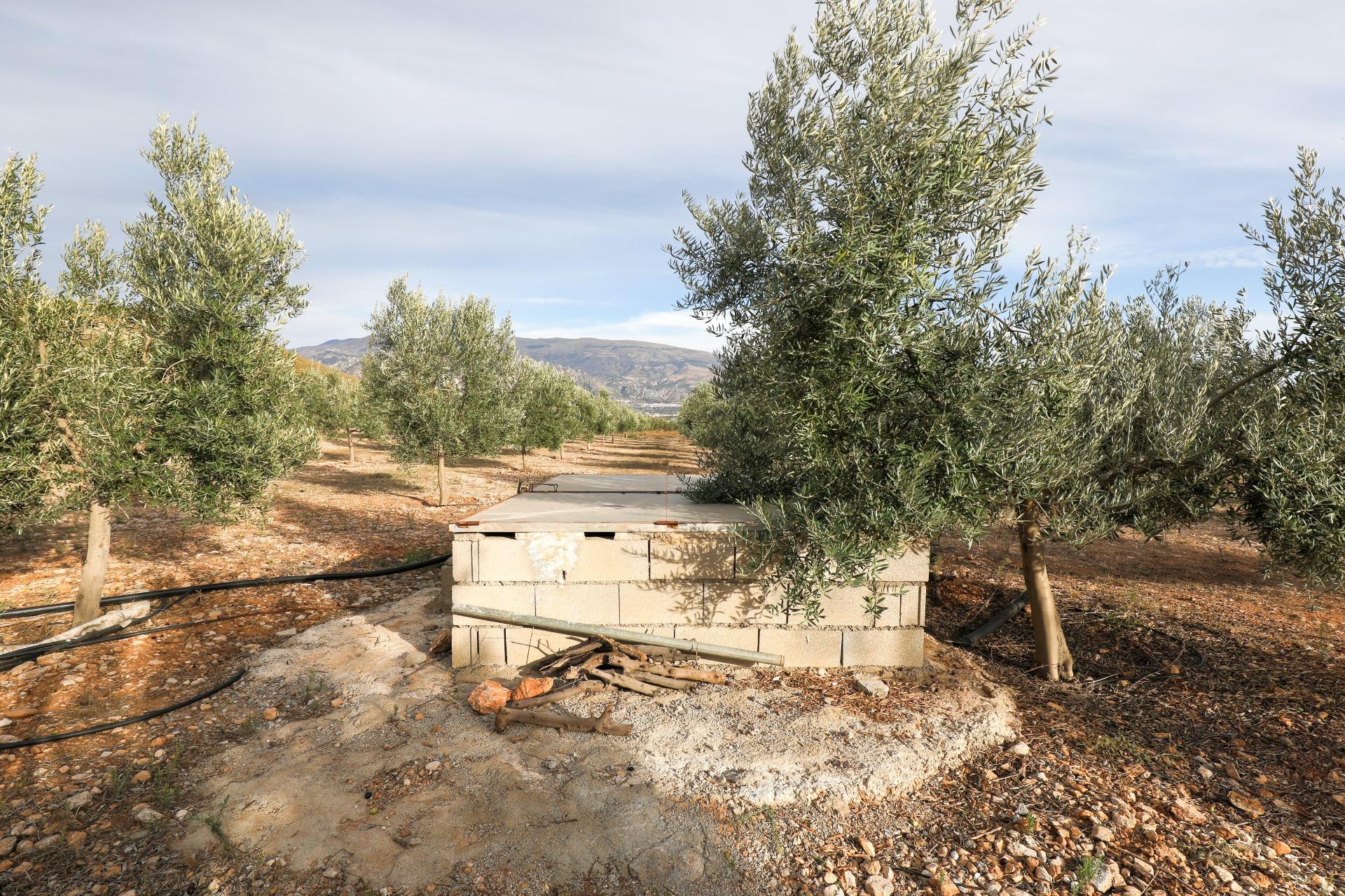 https://fotos15.apinmo.com/5292/27630398/1-4.jpg