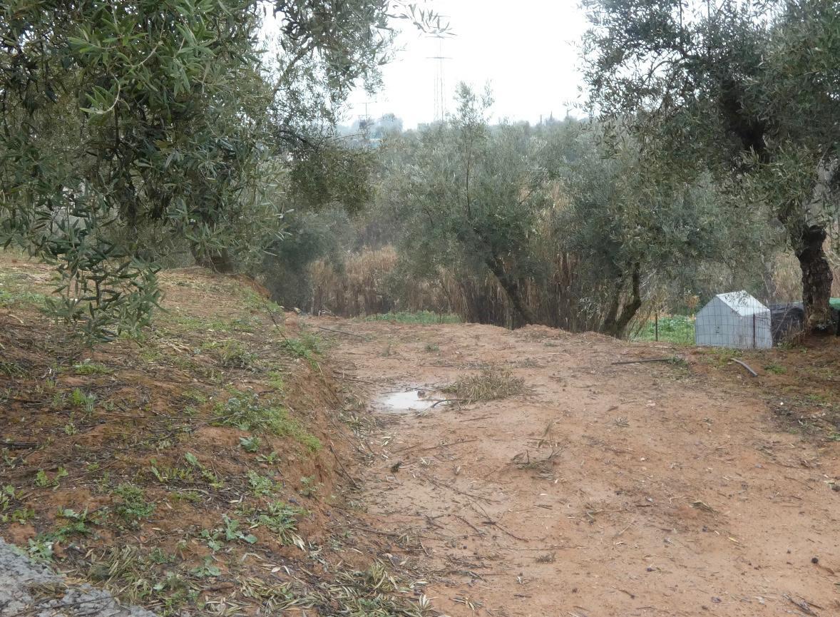 https://fotos15.apinmo.com/5292/29191536/1-5.jpg