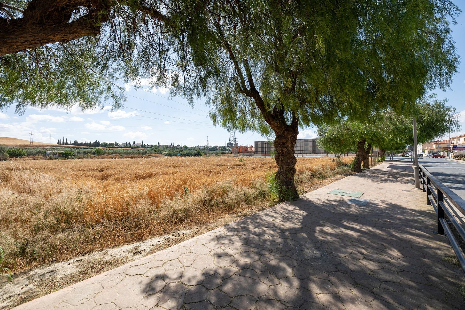 https://fotos15.apinmo.com/5292/29225230/1-5.jpg
