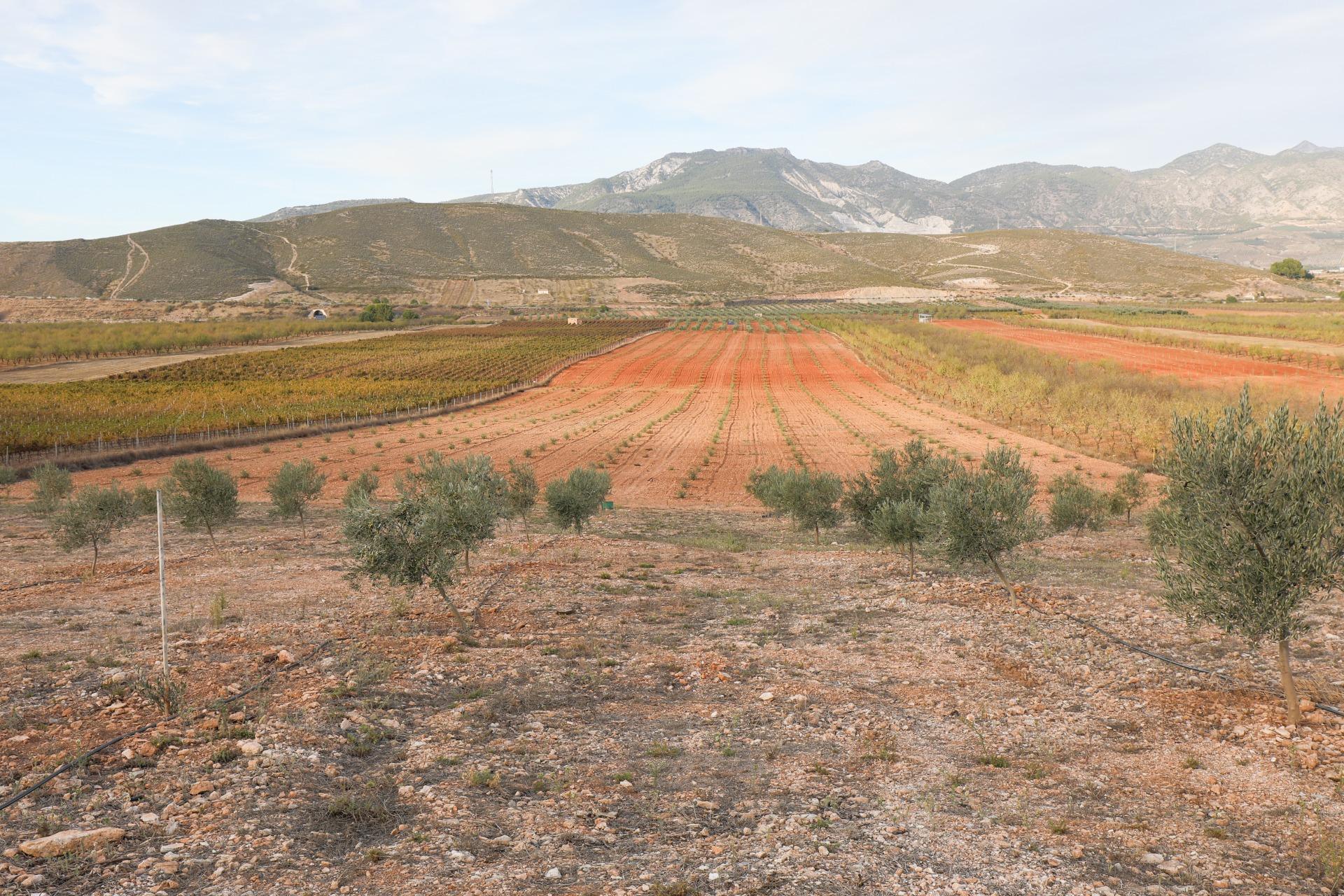 https://fotos15.apinmo.com/5292/27630398/1-5.jpg