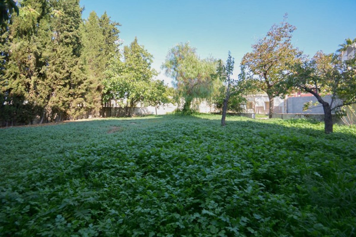https://fotos15.apinmo.com/5292/29100997/11-1.jpg