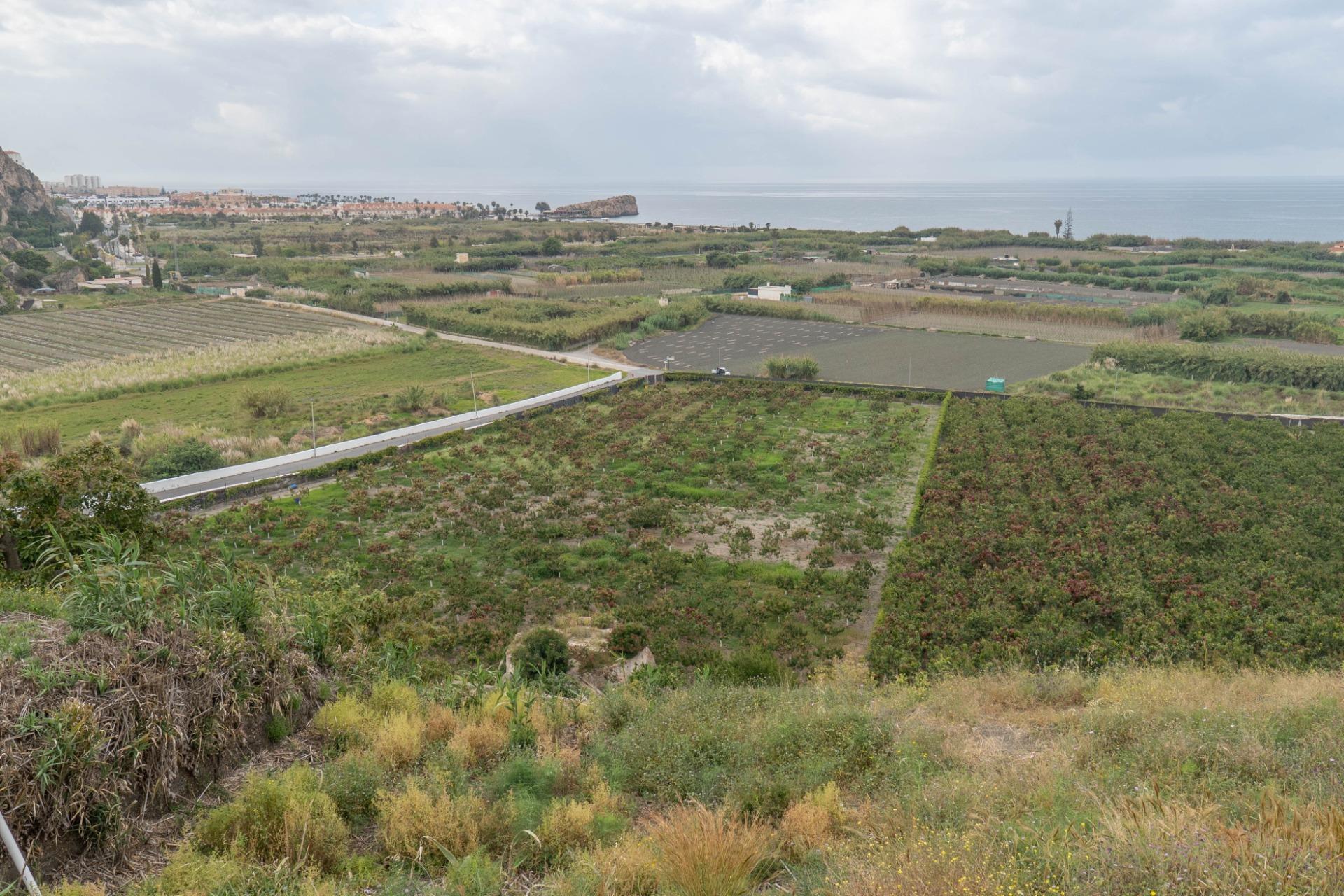https://fotos15.apinmo.com/5292/28992980/15-1.jpg