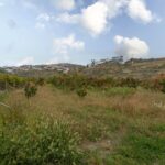 https://fotos15.apinmo.com/5292/28992980/15-8.jpg