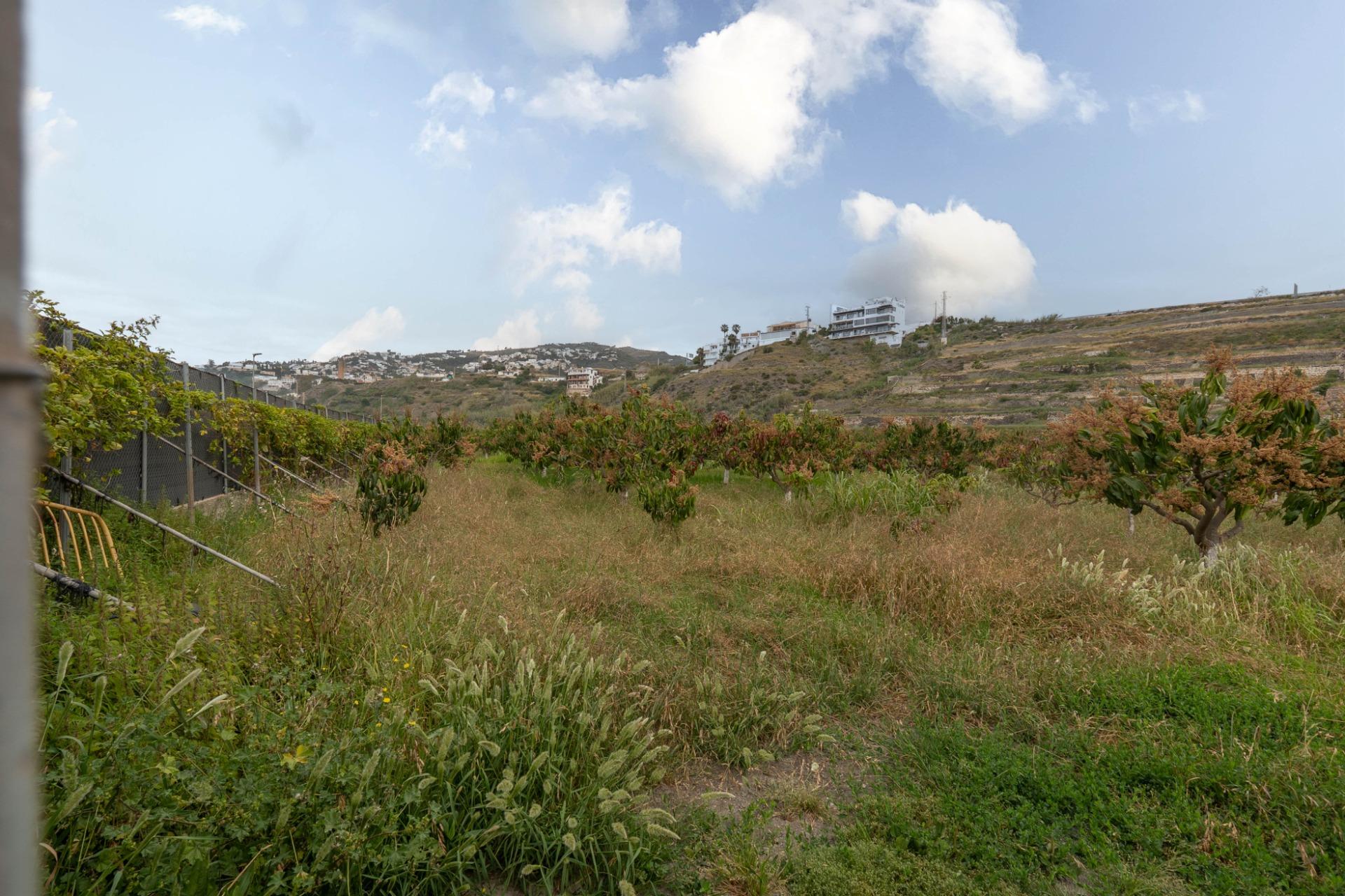 https://fotos15.apinmo.com/5292/28992980/15-8.jpg