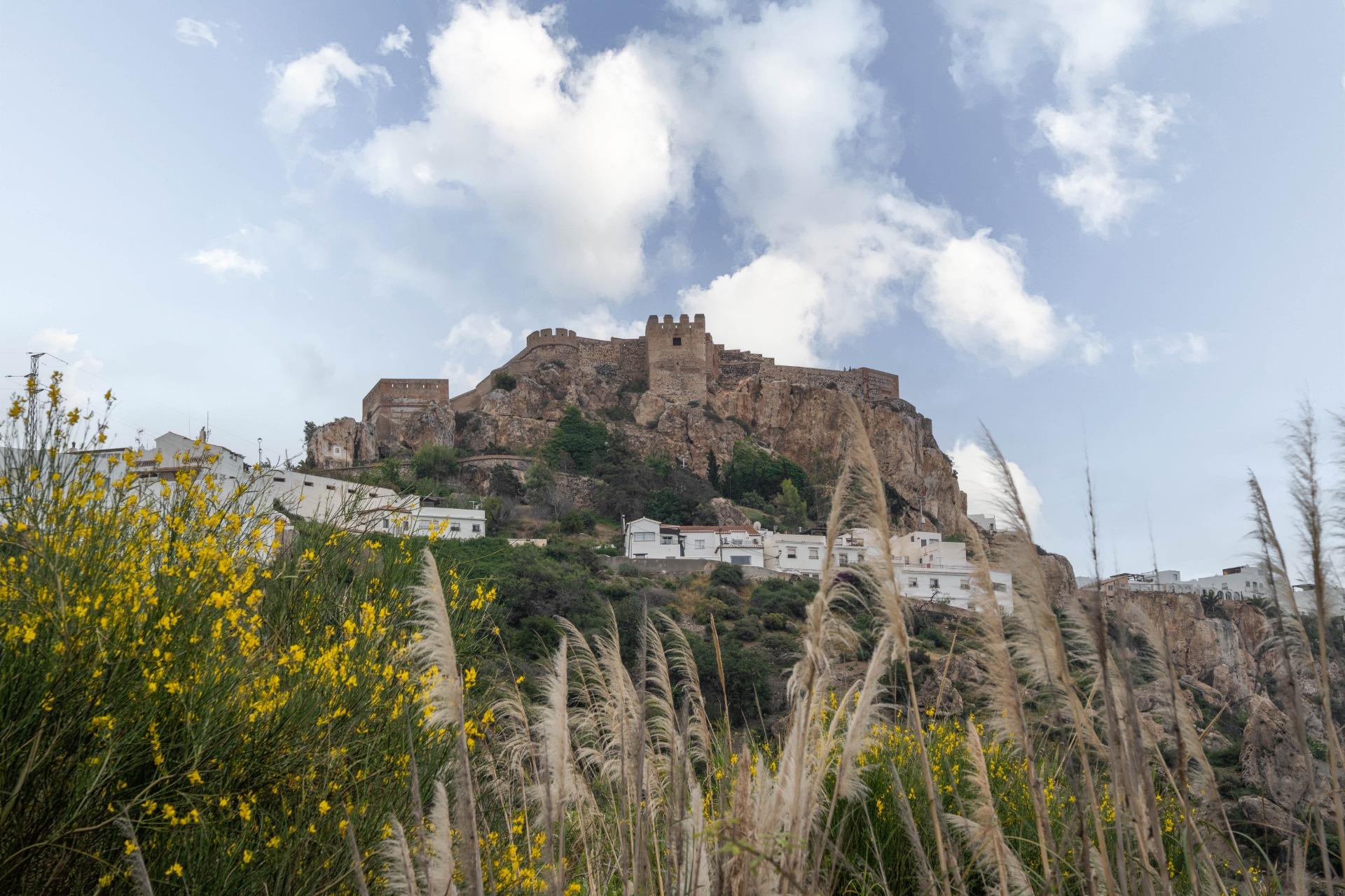 https://fotos15.apinmo.com/5292/28992980/15-5.jpg