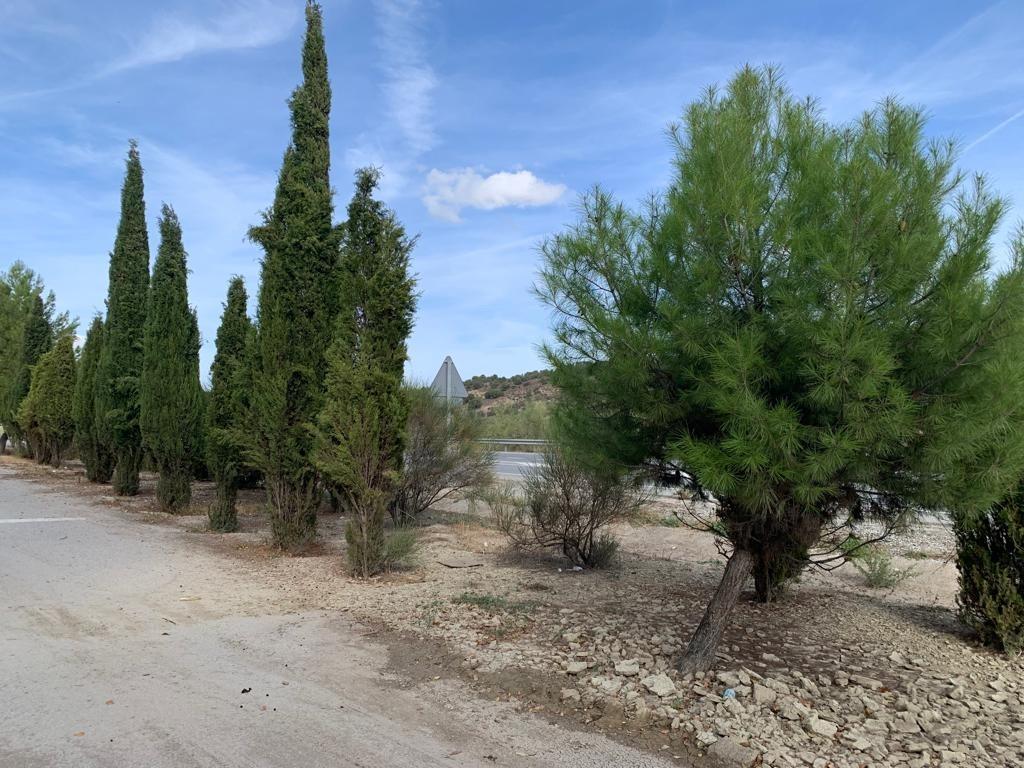 https://fotos15.apinmo.com/5292/29225159/3-7.jpg