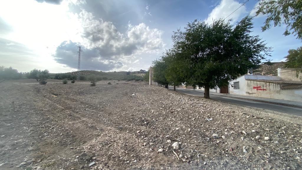 https://fotos15.apinmo.com/5292/29225159/3-3.jpg