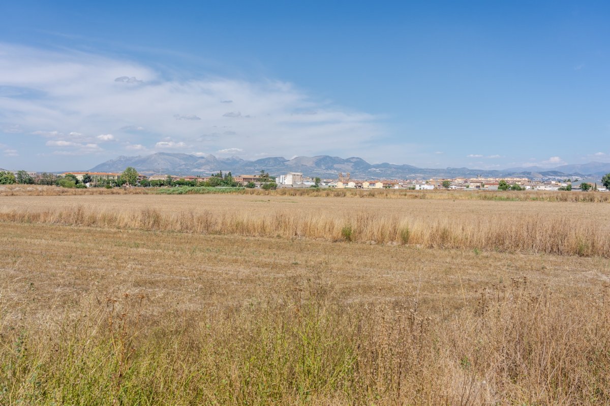 https://fotos15.apinmo.com/5292/28993176/6-5.jpg