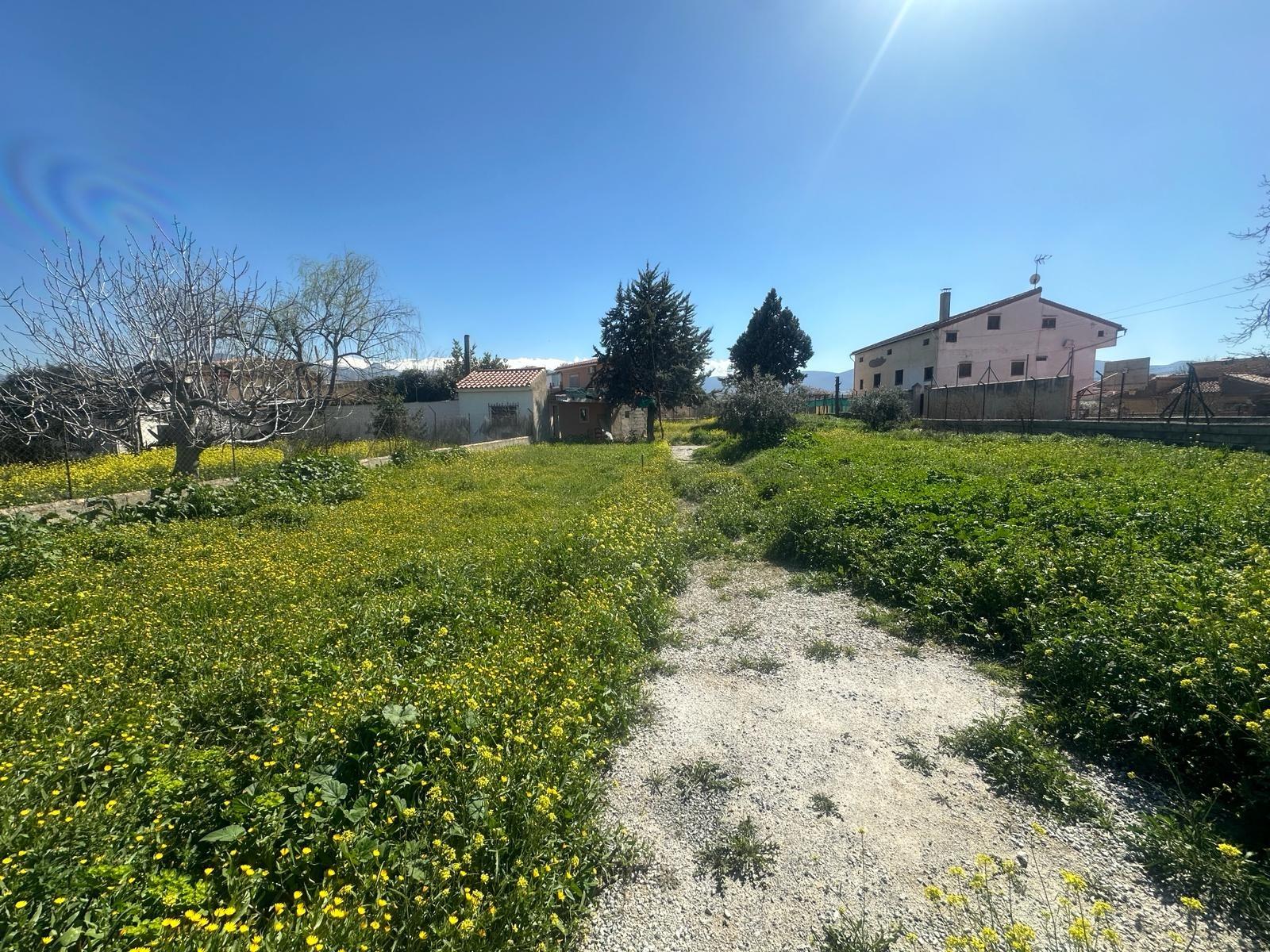 https://fotos15.apinmo.com/5292/28993153/8-1.jpg