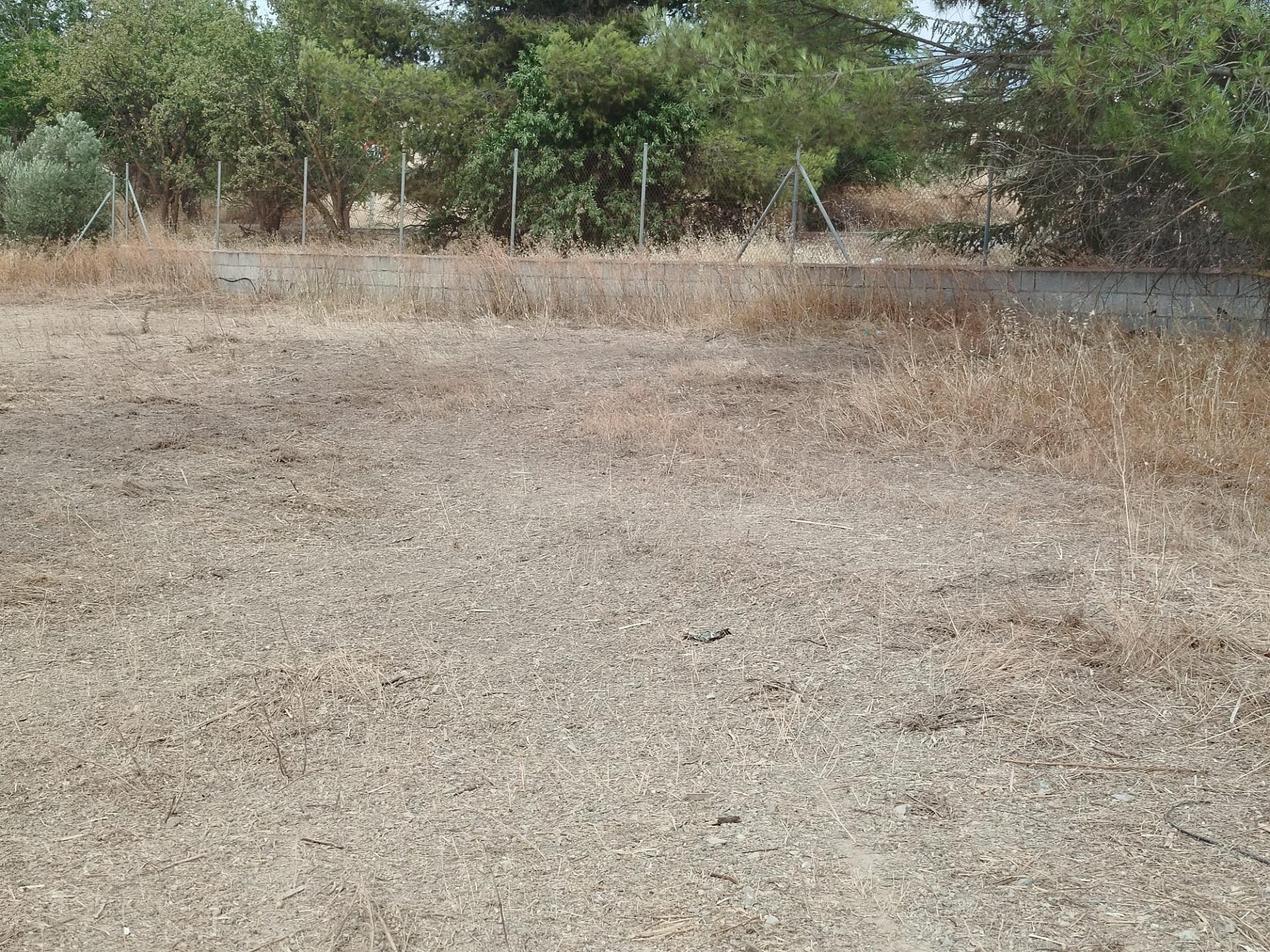 https://fotos15.apinmo.com/5292/29201194/8-6.jpg