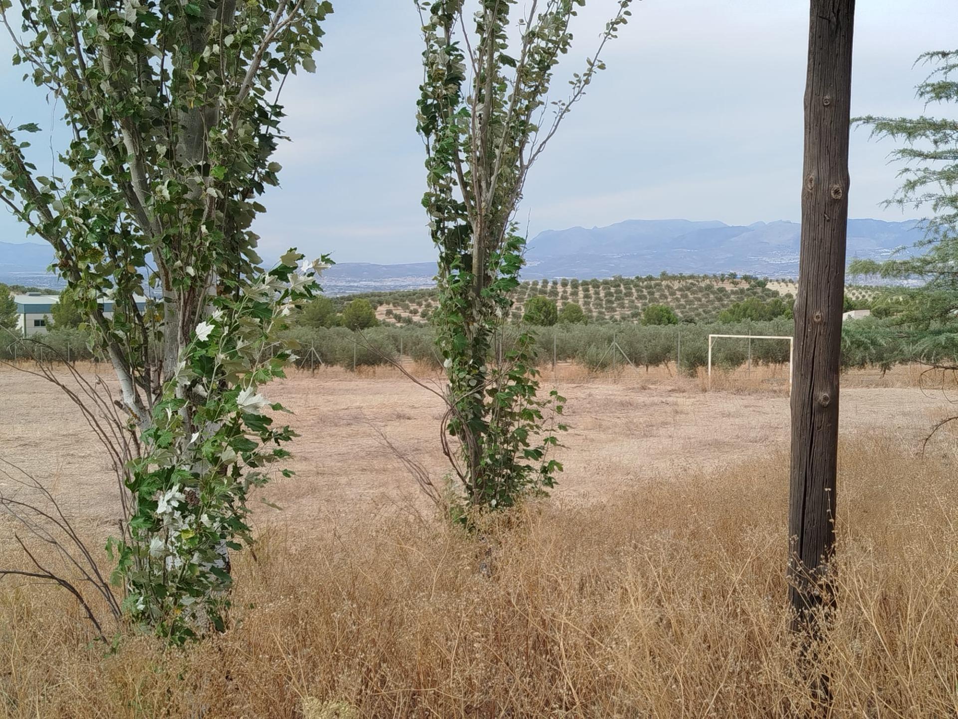 https://fotos15.apinmo.com/5292/29201194/8-7.jpg