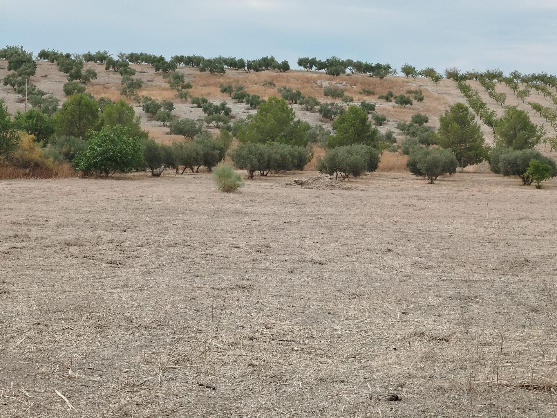 https://fotos15.apinmo.com/5292/29201194/8-8.jpg
