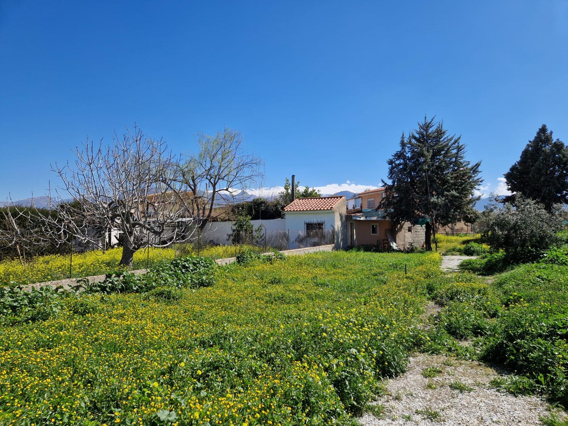 https://fotos15.apinmo.com/5292/28993153/8-2.jpg