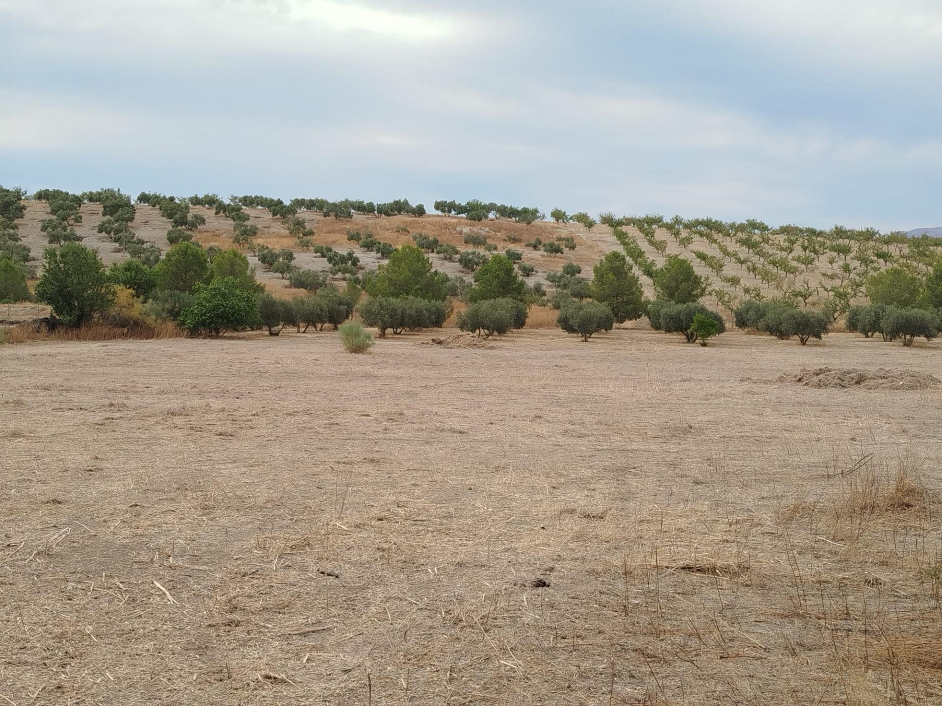 https://fotos15.apinmo.com/5292/29201194/8-3.jpg