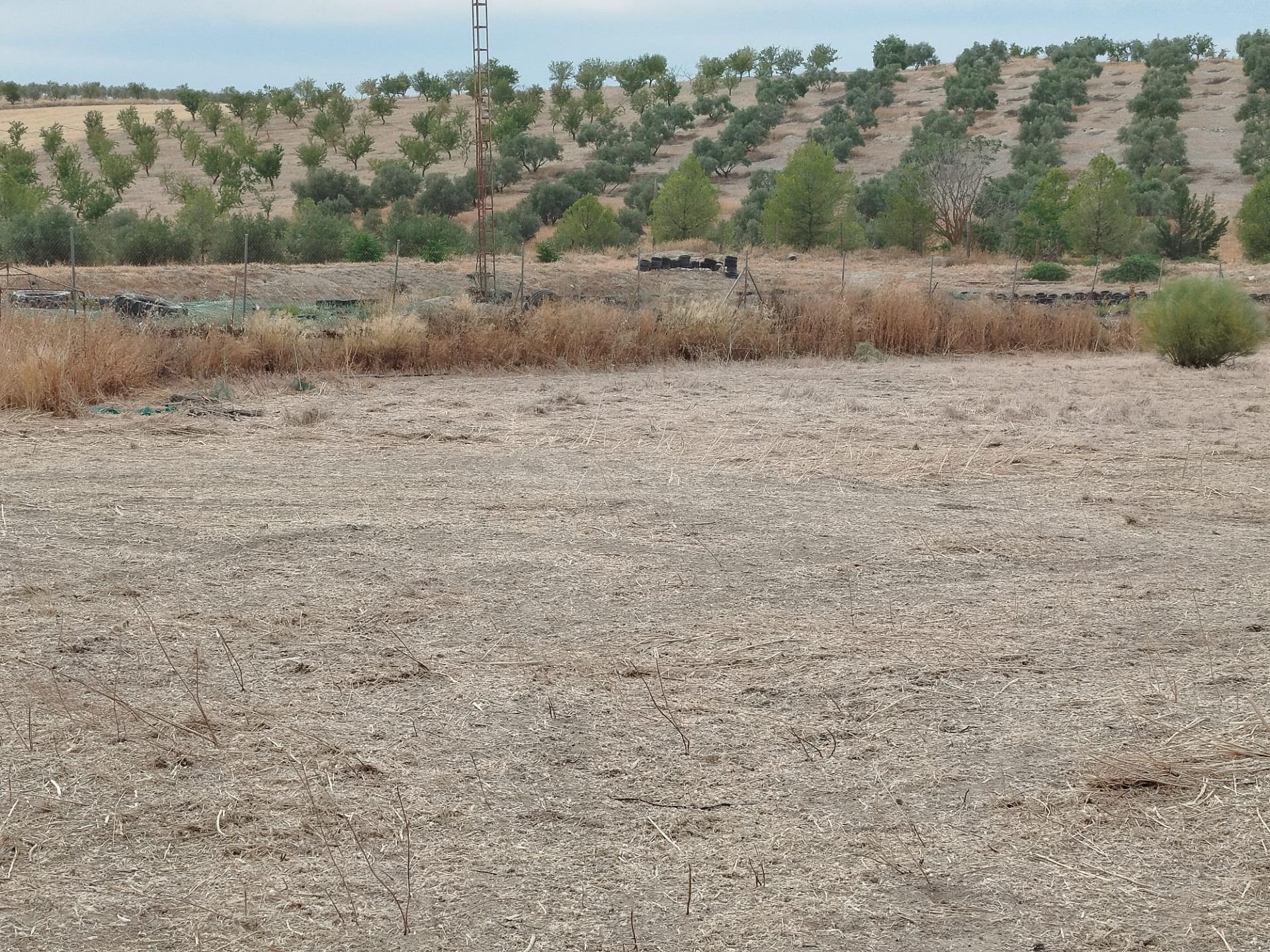 https://fotos15.apinmo.com/5292/29201194/8-5.jpg