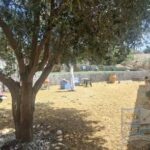 https://www.calidahomespropconsult.com/images/propertyImages/casa-carrascos-semi-detached-property-for-sale-in-arboleas/casa-carrascos-semi-detached-property-for-sale-in-arboleas-5206463368.jpg