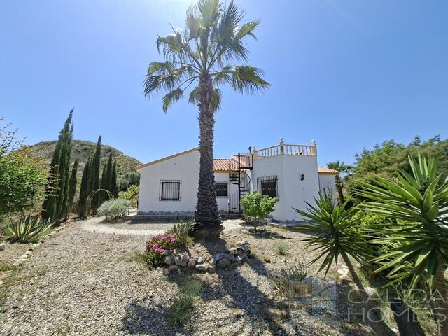 https://www.calidahomespropconsult.com/images/propertyImages/villa-romero--resale-villa-for-sale-in-arboelas/villa-romero--resale-villa-for-sale-in-arboelas-2747560865.jpg