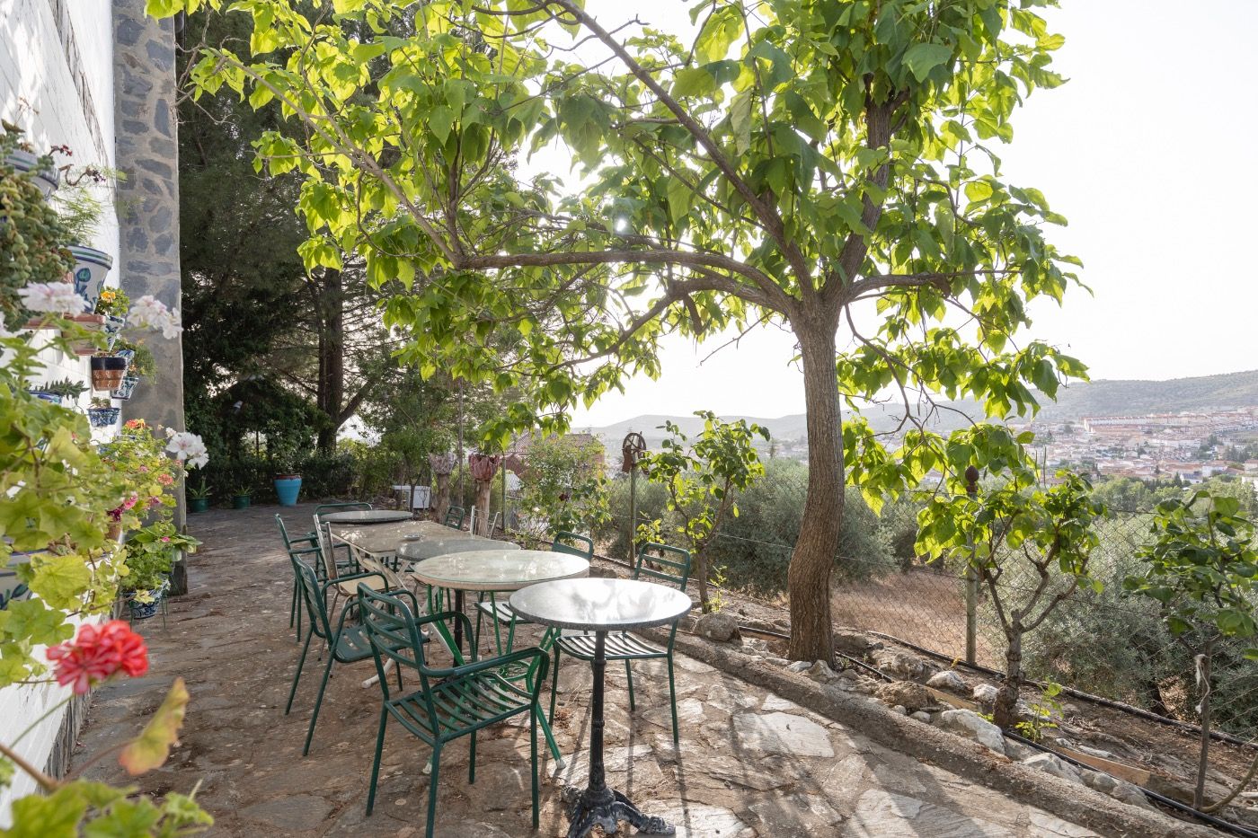 https://fotos15.apinmo.com/5292/29245558/1-6.jpg