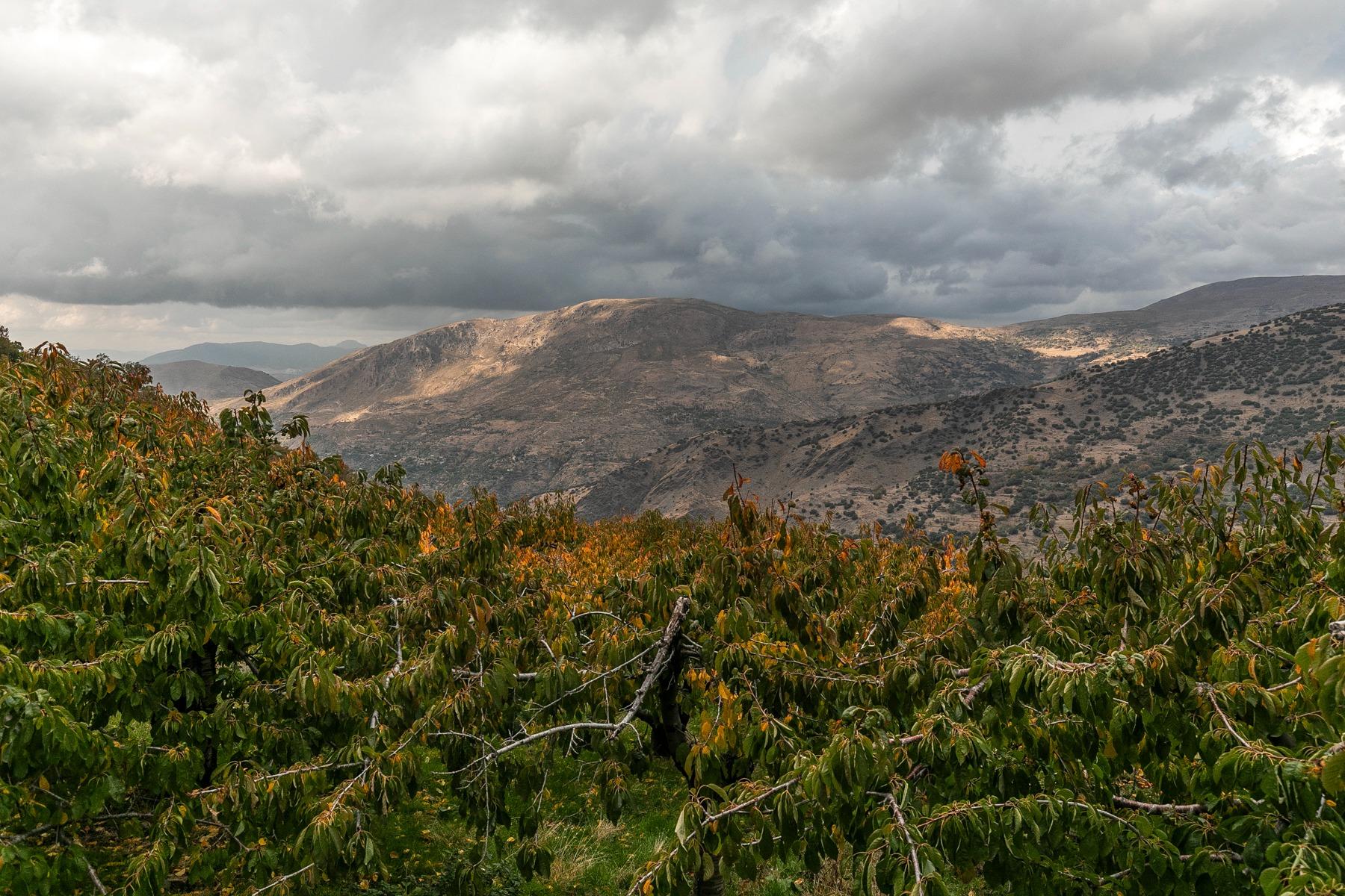 https://fotos15.apinmo.com/5292/29225285/17-6.jpg