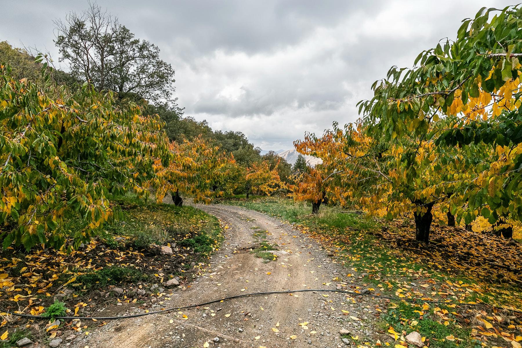 https://fotos15.apinmo.com/5292/29225285/17-8.jpg