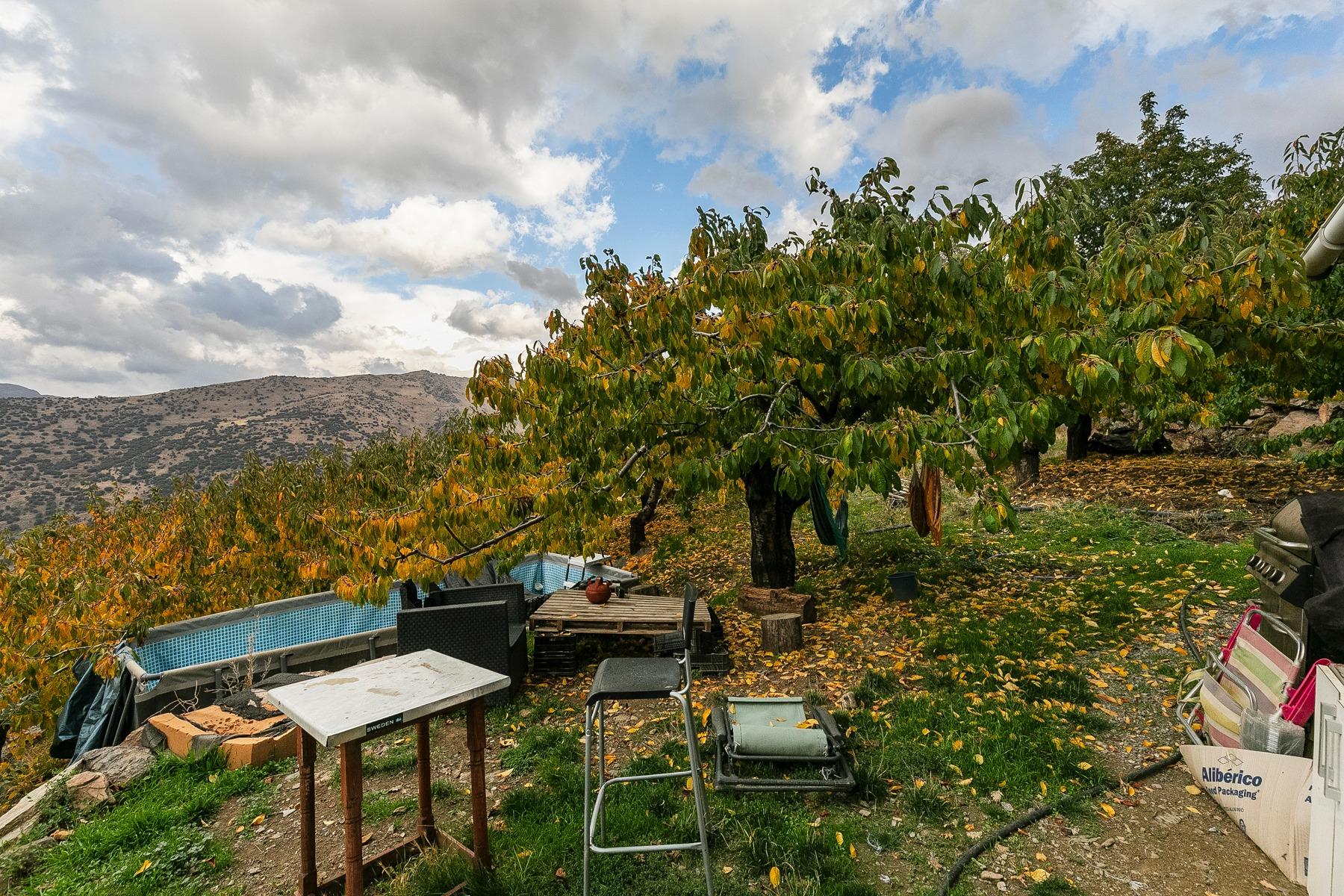 https://fotos15.apinmo.com/5292/29225285/17-4.jpg