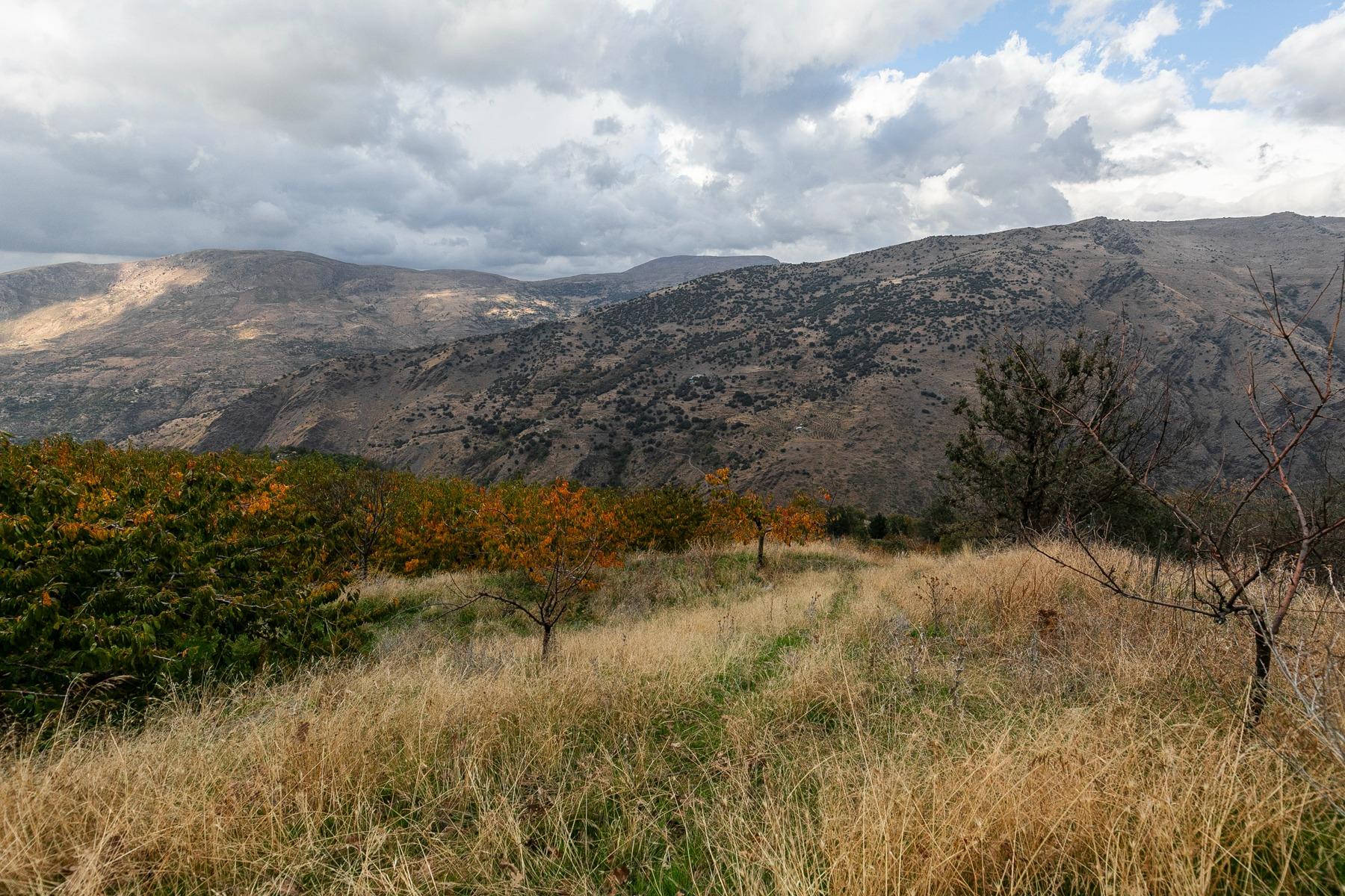 https://fotos15.apinmo.com/5292/29225285/17-5.jpg