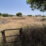 https://fuentealamorealestate.com/wp-content/uploads/2025/12/20250617_123358-1.jpg