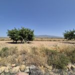 https://fuentealamorealestate.com/wp-content/uploads/2025/12/20250617_123144-1.jpg