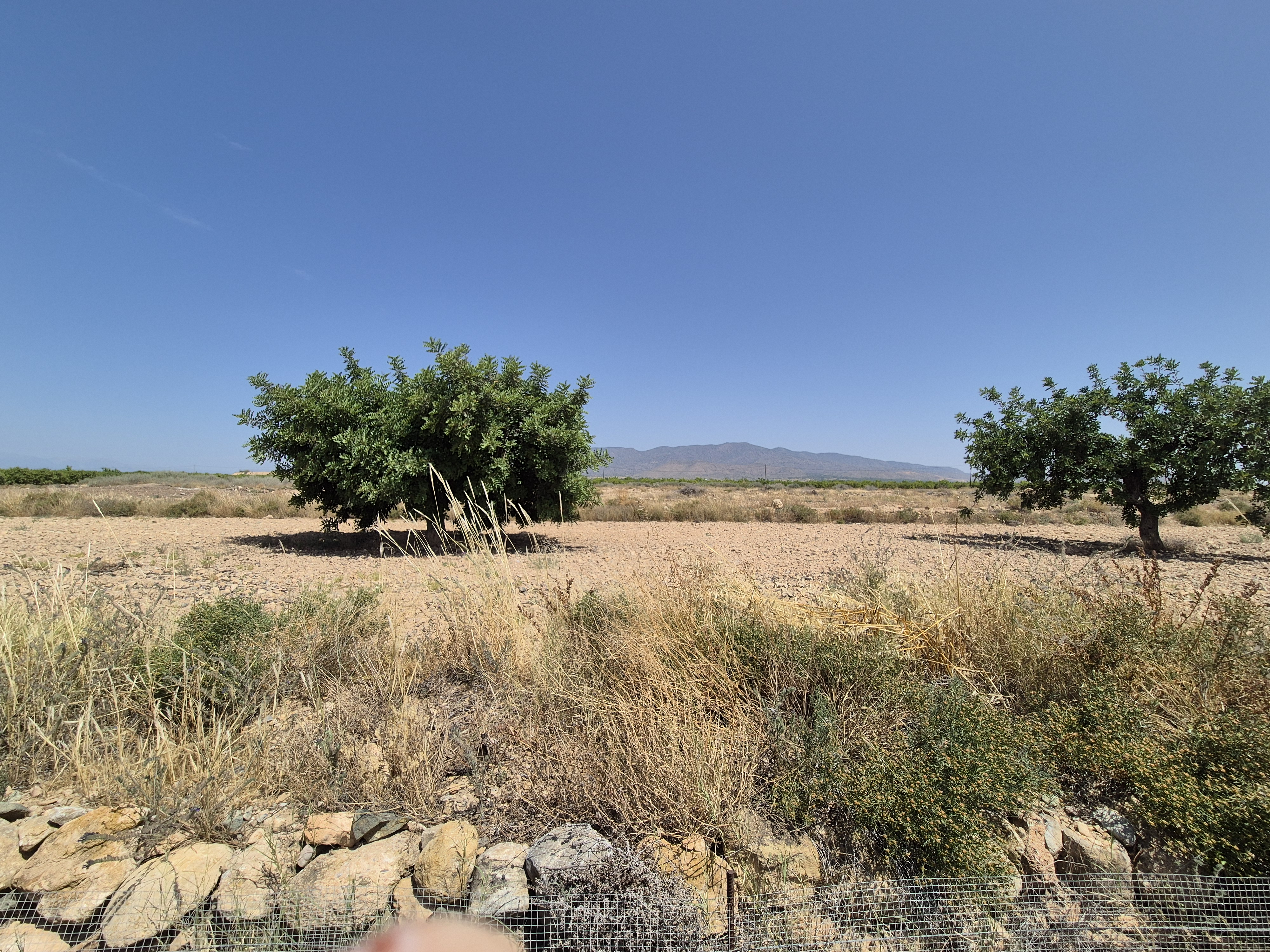 https://fuentealamorealestate.com/wp-content/uploads/2025/12/20250617_123144-1.jpg
