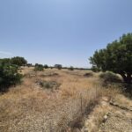 https://fuentealamorealestate.com/wp-content/uploads/2025/12/20250617_122045.jpg