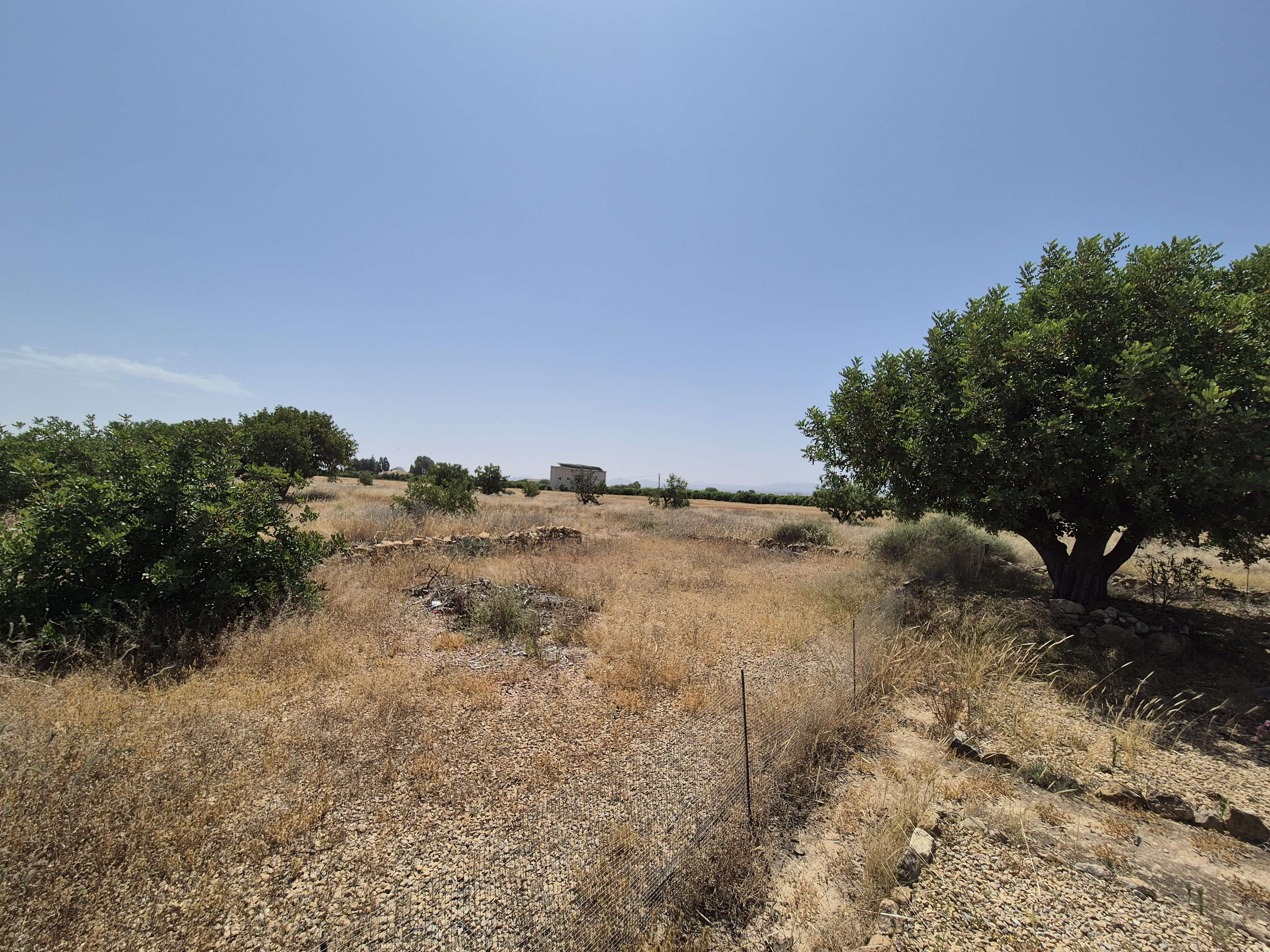 https://fuentealamorealestate.com/wp-content/uploads/2025/12/20250617_122045.jpg