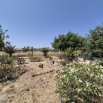 https://fuentealamorealestate.com/wp-content/uploads/2025/12/20250617_122049.jpg