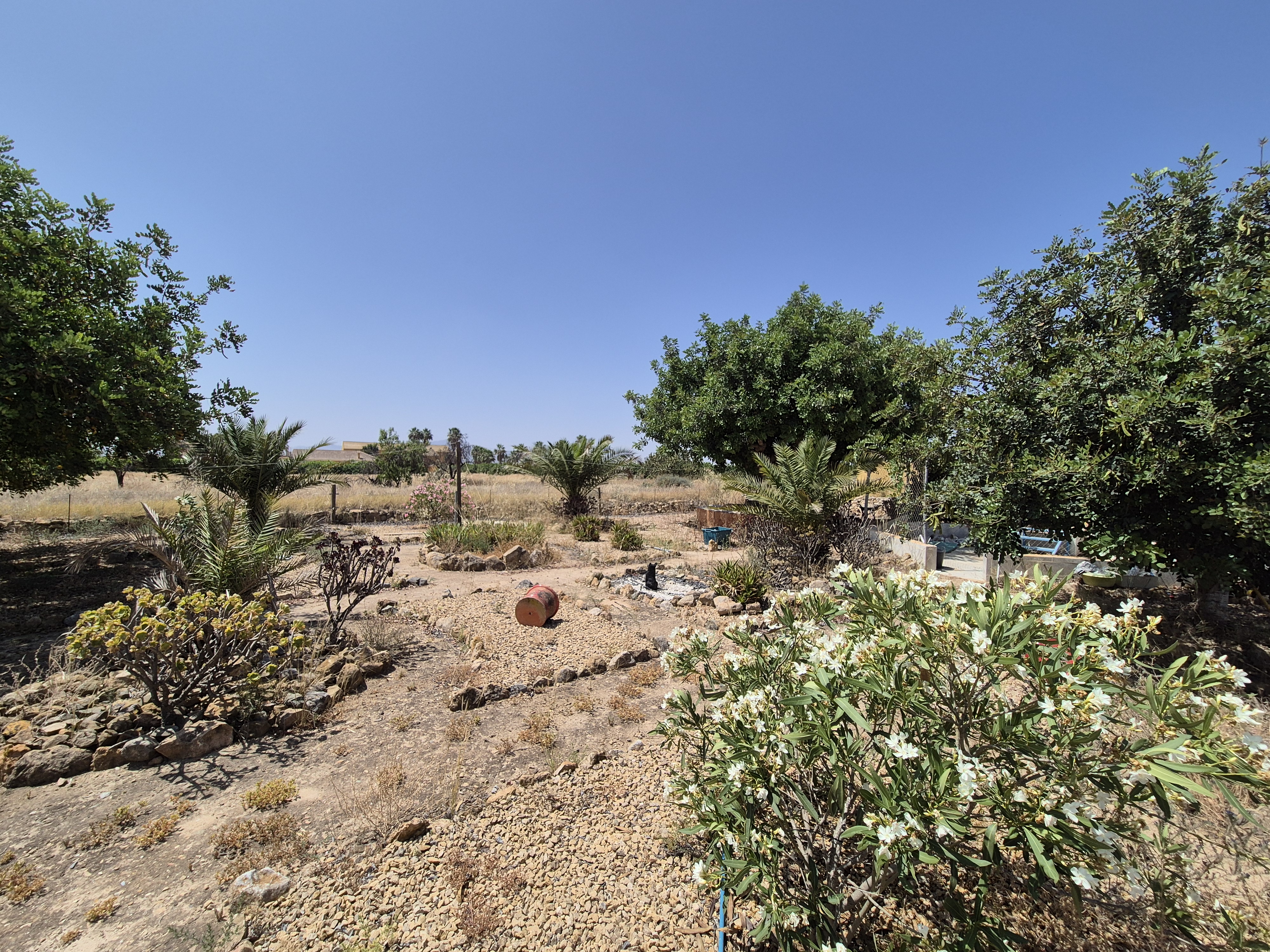 https://fuentealamorealestate.com/wp-content/uploads/2025/12/20250617_122049.jpg