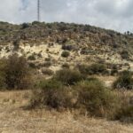 https://www.pricebrown.com/images/propertyImages/lancariatiz-land-for-sale-in-cariatiz/lancariatiz-land-for-sale-in-cariatiz-12191979.jpg