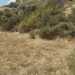 https://www.pricebrown.com/images/propertyImages/lancariatiz-land-for-sale-in-cariatiz/lancariatiz-land-for-sale-in-cariatiz-9198007.jpg